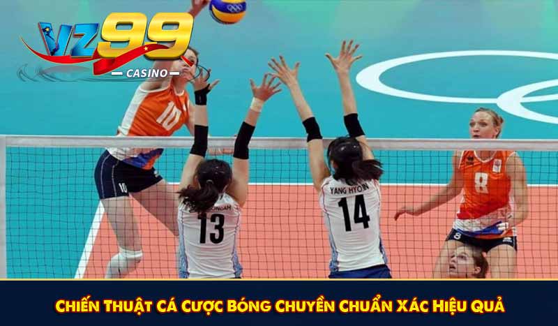 Chiến Thuật Cá Cược Bóng Chuyền Chuẩn Xác Hiệu Quả