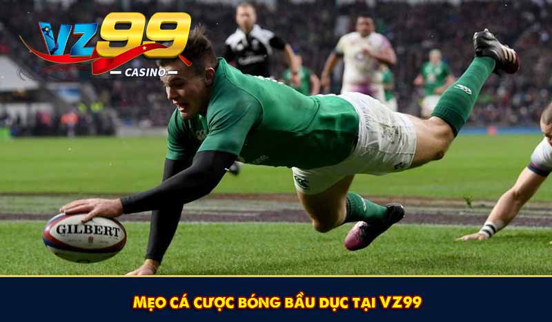 Mẹo cá cược bóng bầu dục tại VZ99