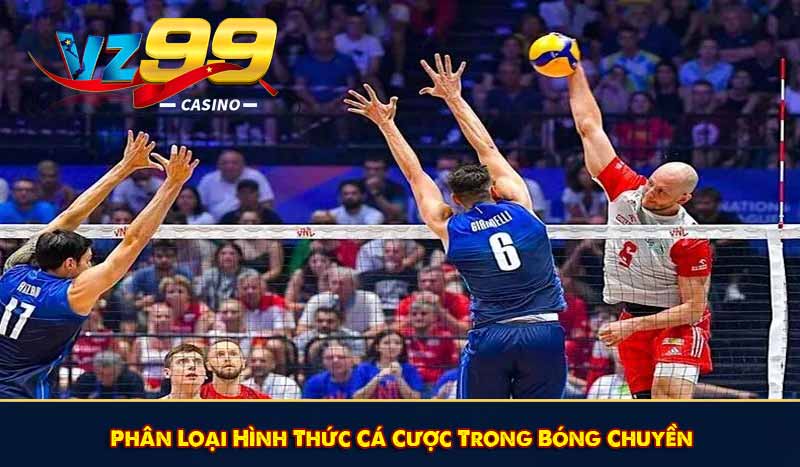Phân Loại Hình Thức Cá Cược Trong Bóng Chuyền